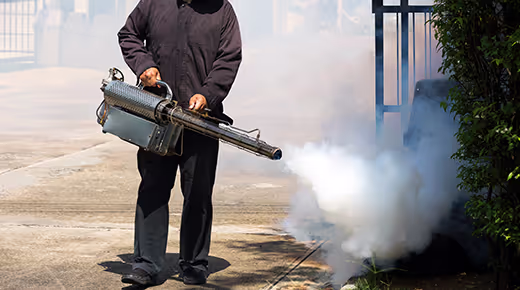 Termonebbiogeno e fumigazioni